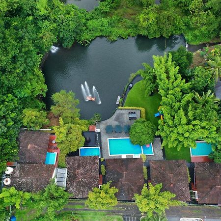 Athirapally Green Trees Athirappilly Exterior foto
